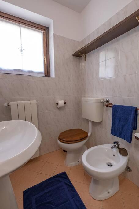 Happy Guest Apartments - Alpin Vista Колере Екстериор снимка