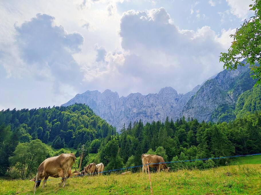 Happy Guest Apartments - Alpin Vista Колере Екстериор снимка